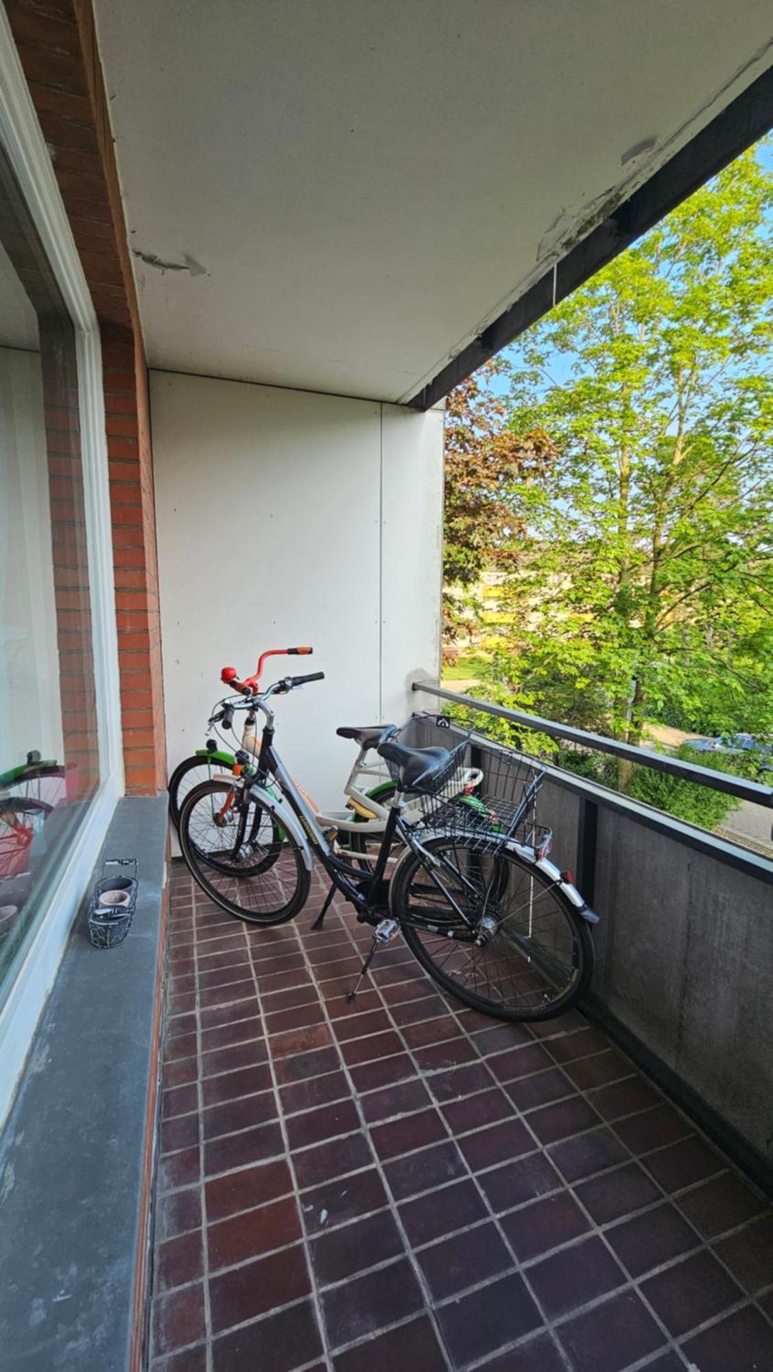 Urlaubsparadies Mit 2 Fahhraedern ชตัดท์ฮาเกน ภายนอก รูปภาพ